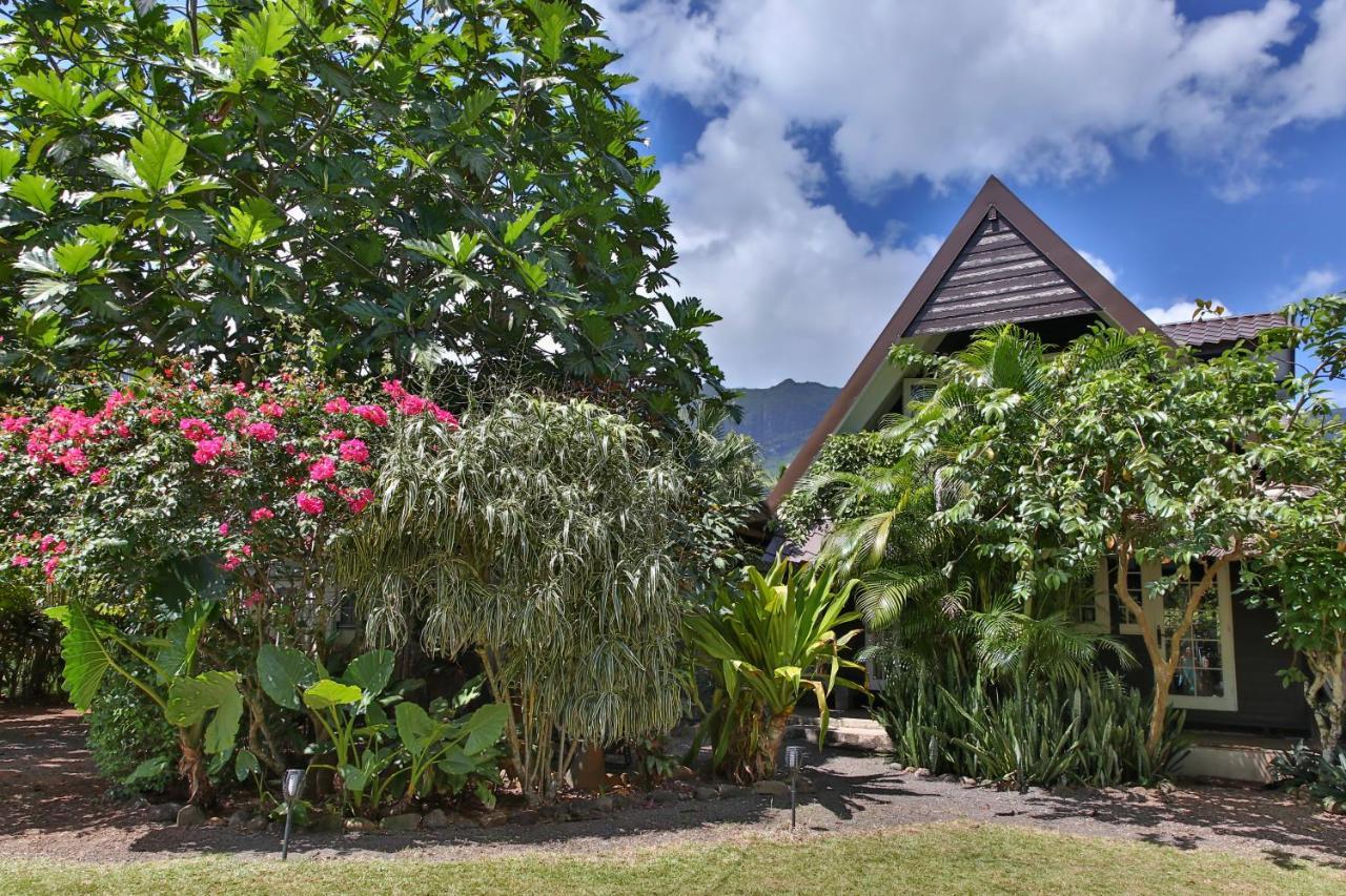 Fare Haurevaiti Moorea Paopao Екстер'єр фото