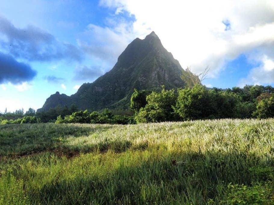 Fare Haurevaiti Moorea Paopao Екстер'єр фото