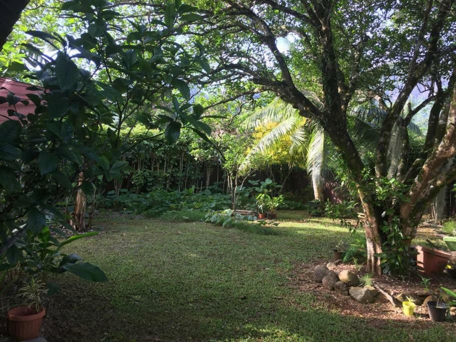 Fare Haurevaiti Moorea Paopao Екстер'єр фото